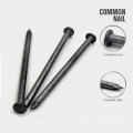 Hot Selling 8d Common Nail From China